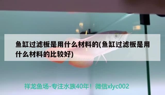 魚缸過濾板是用什么材料的(魚缸過濾板是用什么材料的比較好)