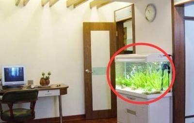 玻璃魚缸買回來直接養魚行嗎：養魚可以直接使用新購買的玻璃魚缸嗎？