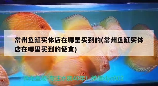 <strong><mark>常州</mark></strong>魚缸實體店在哪里買到的(<strong><mark>常州</mark></strong>魚缸實體店在哪里買到的便宜)