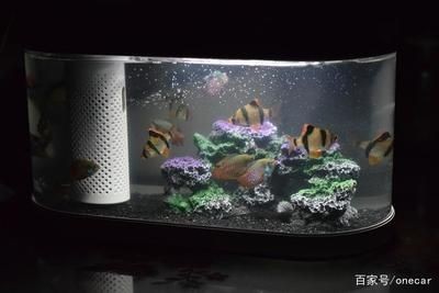 大型魚缸水循環系統設計：大型魚缸水循環系統的設計