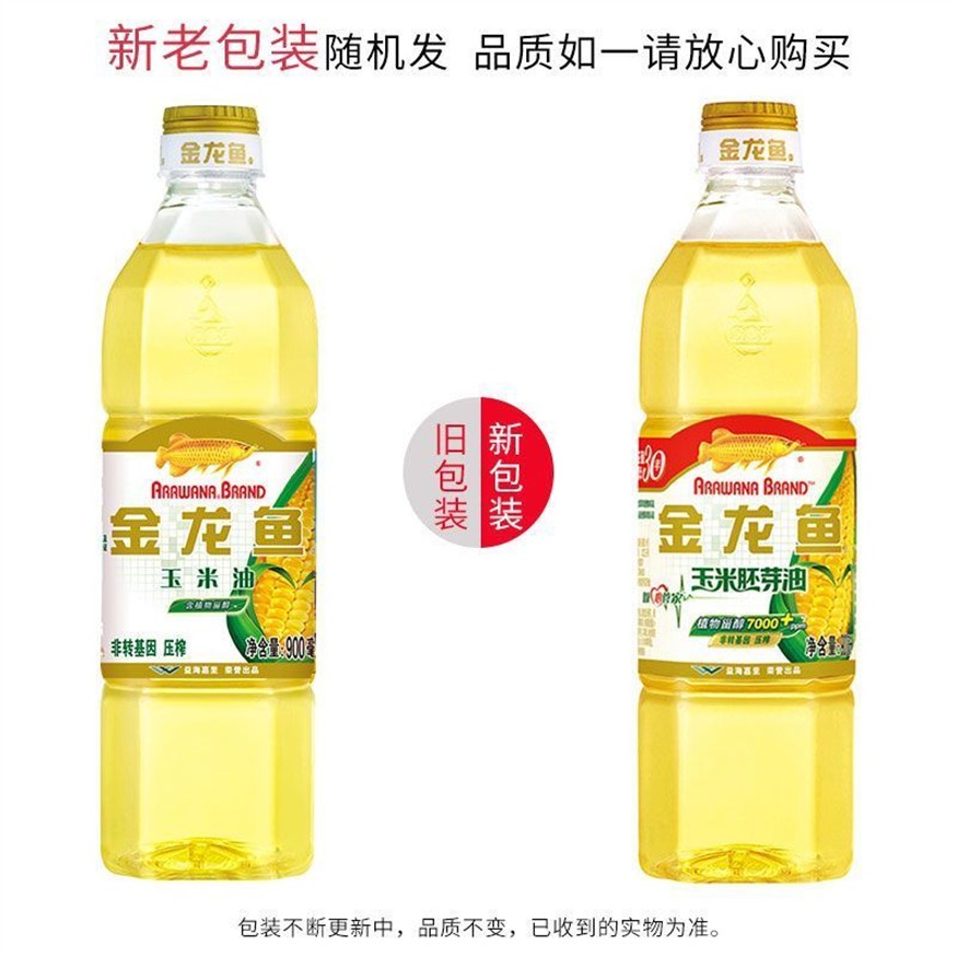 金龍魚(yú)常溫要保持多少_