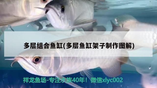 多層組合魚缸(多層魚缸架子制作圖解)