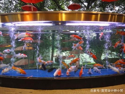 高新開發(fā)區(qū)舜華澳森海洋館水族裝飾經(jīng)營部（高新區(qū)舜奧華府在哪里）