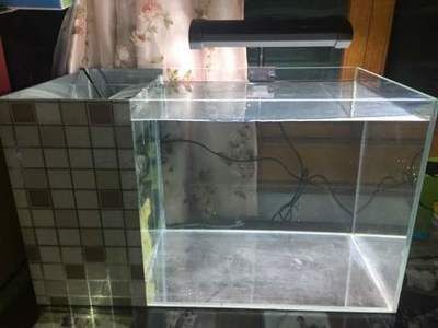 晉安區易居水族商行（福州易安居茶館電話）