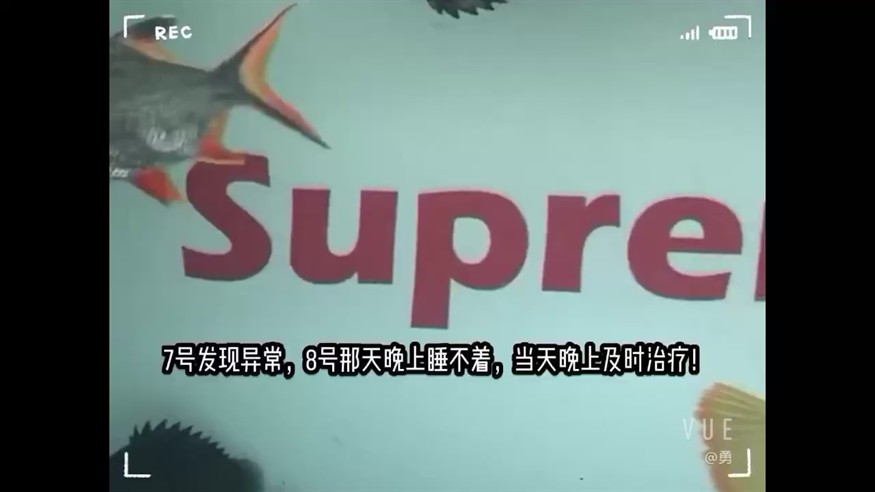 養(yǎng)魚(yú)疾病防治及時(shí)(虎魚(yú)腸炎)