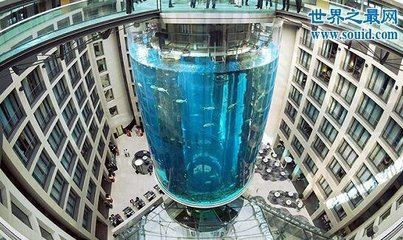 柏林魚缸爆炸視頻：柏林魚缸爆炸事件后續(xù)處理