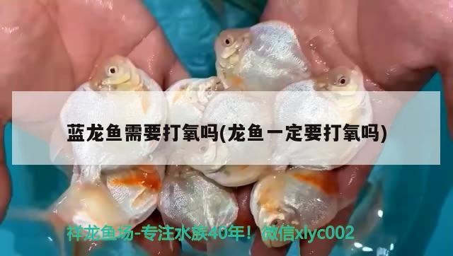 曲靖魚缸定制哪家好點，曲靖漁具批發(fā)市場