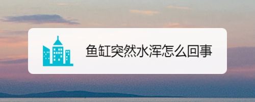 魚缸水怎么突然就渾了，魚缸過濾棉多久更換一次光照管理技巧魚缸過度擁擠的解決辦法