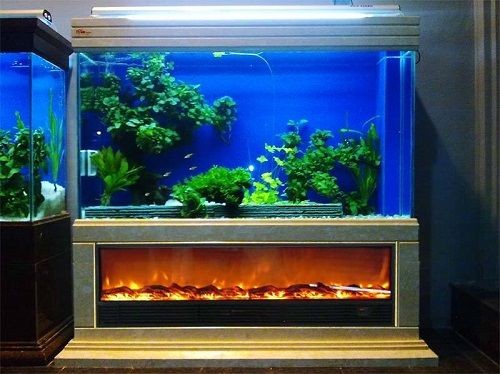 大魚缸怎么換水：大魚缸換水步驟和注意事項