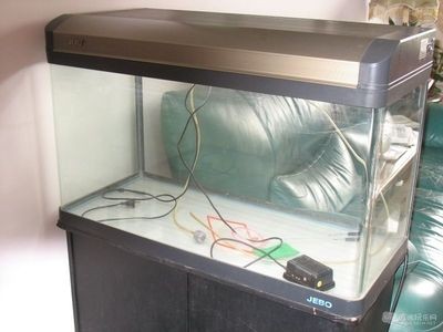 打膠魚缸可以用多久：打膠魚缸的使用壽命受多種因素影響魚缸使用壽命受多種因素影響