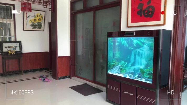 可麗愛魚缸能用幾年：可麗愛魚缸使用壽命受多因素如材料質(zhì)量、水質(zhì)管理、維護頻率等影響