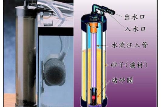 蘇永權 蘇永權 全國水族館企業名錄 第1張