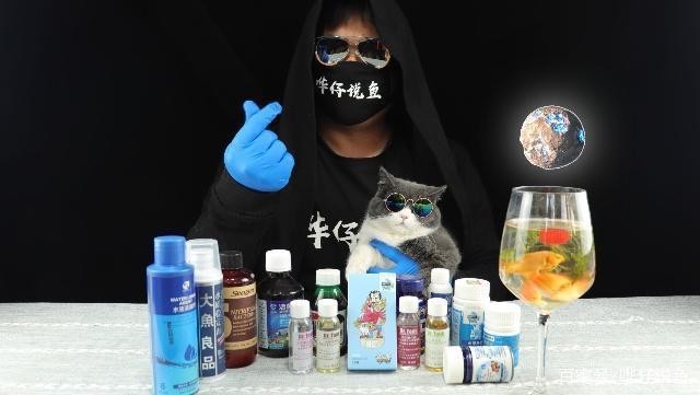 南京市白下區惠雅熱帶魚服務部（南京市白下區惠雅熱帶魚服務部地址）