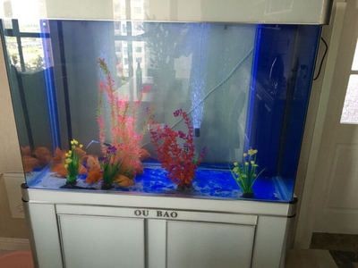 龍魚缸什么牌子最好最安全的呢，最好的龍魚缸品牌有哪些？