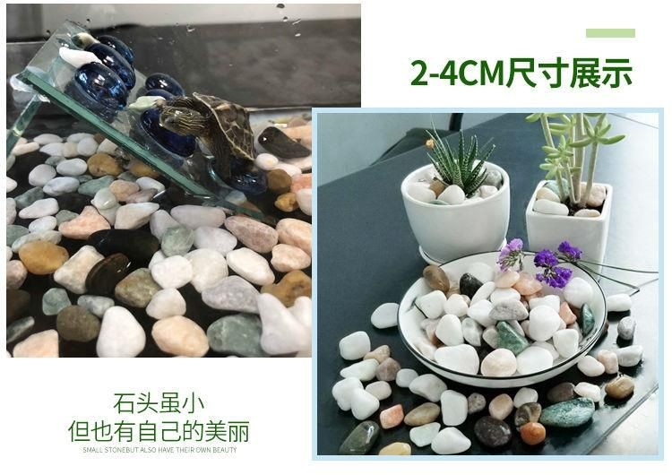 魚缸造景石頭選擇指南：如何選擇魚缸造景石頭 魚缸造景石頭選擇指南：如何選擇魚缸造景石頭 魚缸百科 第1張