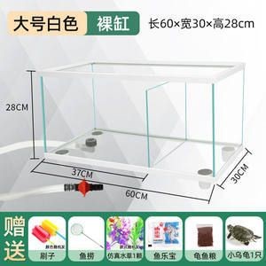 玻璃魚缸制作方法怎么排水：玻璃魚缸制作方法的排水設計 玻璃魚缸制作方法怎么排水：玻璃魚缸制作方法的排水設計 魚缸百科 第4張