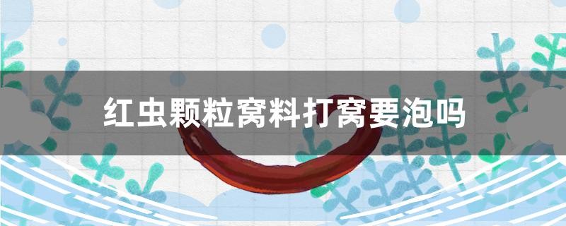 紅蟲顆粒窩料打窩要泡嗎 紅蟲顆粒窩料打窩要泡嗎 紅龍魚百科