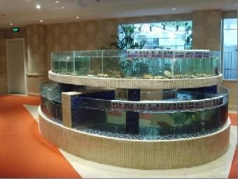 慈溪哪里有賣魚缸的市場：慈溪市內幾個可能有賣魚缸的市場