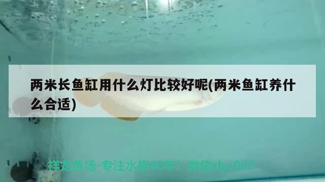 兩米長魚缸用什么燈比較好呢(兩米魚缸養(yǎng)什么合適)