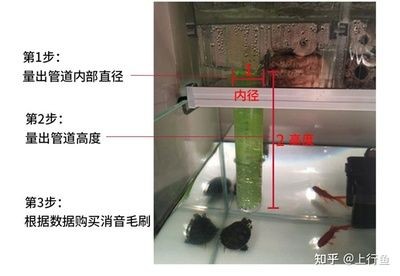 成品魚缸能切割嗎：如何自制魚缸？