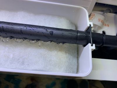 25公分紅龍魚應該用多少色溫的燈（25公分紅龍魚應該用多少色溫的燈泡）