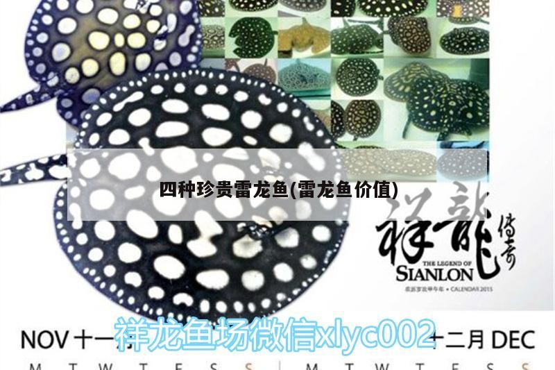 四種珍貴雷龍魚(雷龍魚價值)