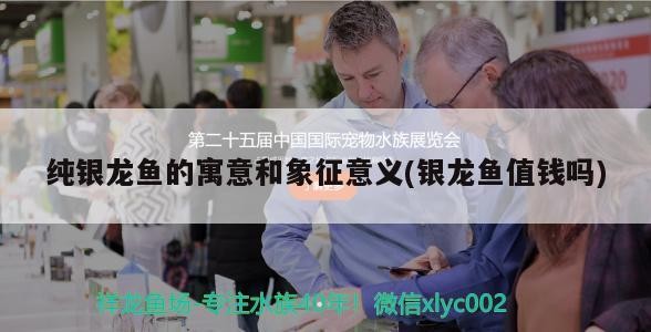 魚缸過濾器選購指南:自制魚缸過濾器魚缸上置過濾器對于養(yǎng)魚愛好者的必備知識 純銀龍魚的寓意和象征意義(銀龍魚值錢嗎) 銀龍魚百科 純銀龍魚的寓意和象征意義(銀龍魚值錢嗎) 純銀龍魚的寓意和象征意義(銀龍魚值錢嗎) 銀龍魚百科