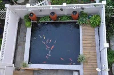 大理石板魚缸：大理石板魚缸的設計和制作