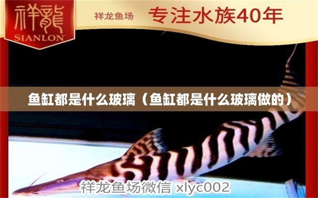 荔波縣黎明關水族鄉梓祥超市（荔波縣黎明關水族鄉梓祥超市電話）