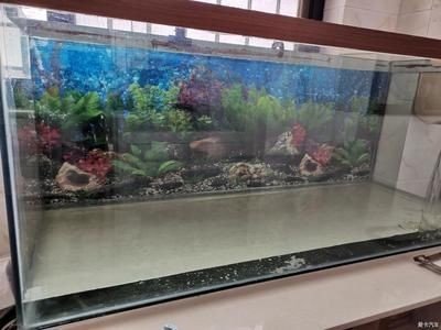 大洋魚缸怎么樣：大洋魚缸制冷公司