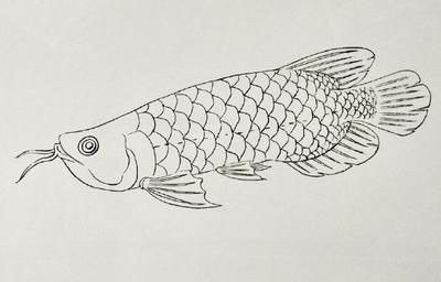金龍魚的魚怎么寫