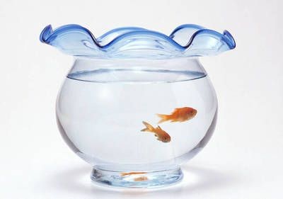 魚缸放在臥室可能會導致房間變得潮濕嗎？：放魚缸在房間內有可能導致房間變得潮濕以下是詳細的解釋