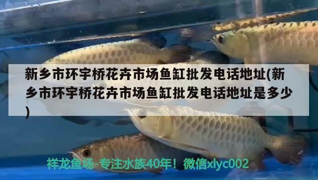 新鄉市環宇橋花卉市場魚缸批發電話地址(新鄉市環宇橋花卉市場魚缸批發電話地址是多少)