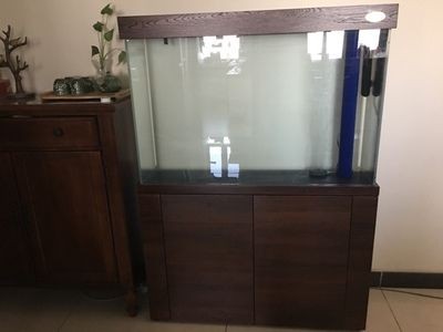 愛客魚缸是品牌嗎怎么樣：愛客eyckee品牌介紹