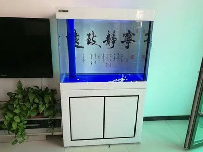 定制魚(yú)缸柜體尺寸時(shí)需要考慮多個(gè)因素包括魚(yú)缸的尺寸：如何選擇合適的魚(yú)缸尺寸？