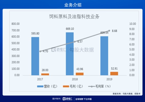 石頭景觀魚缸效果圖大全視頻（石頭景觀魚缸效果圖大全視頻講解）
