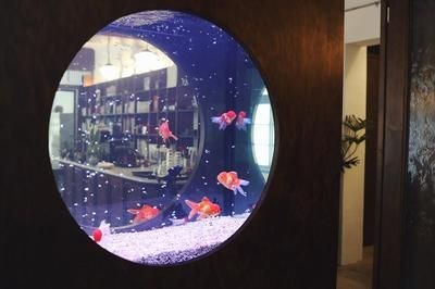 帶我去魚(yú)缸咖啡館是什么歌曲：帶我去魚(yú)缸咖啡館的歌曲信息對(duì)不起，并沒(méi)有直接關(guān)于“帶我去魚(yú)缸咖啡館”的信息