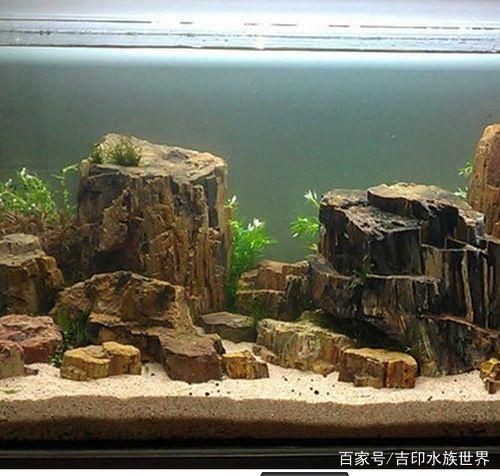 水族箱石材的選擇和養護：水族箱石材的選擇