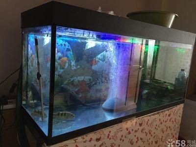 北京魚缸，北京特色魚缸設計欣賞