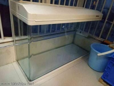 北京魚缸，北京特色魚缸設計欣賞