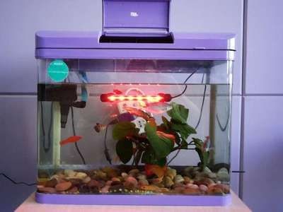 大魚缸怎么安裝視頻教學：大型魚缸安裝視頻教學