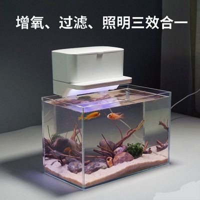 創意魚缸過濾：創意魚缸過濾器