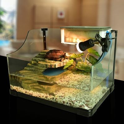 創意魚缸過濾：創意魚缸過濾器