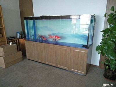 濟(jì)南魚缸定做定制，濟(jì)南魚缸定做哪家口碑好