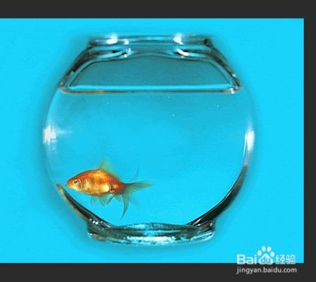 大型魚缸怎么搬出去：大型魚缸如何搬運？