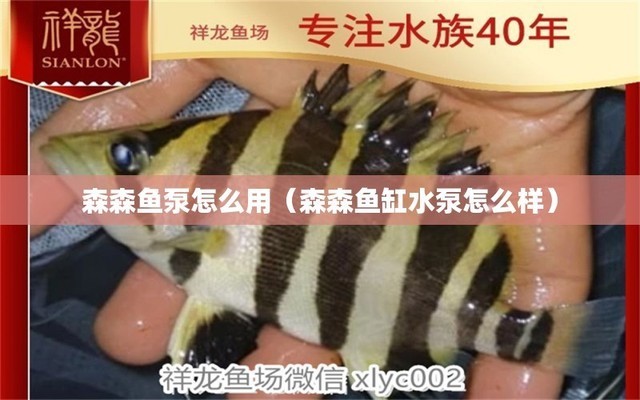 南通亞振東方家具有限公司（南通亞振東方家具廠）