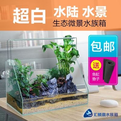 成品魚(yú)缸需要墊墊子嗎？：成品魚(yú)缸是否需要墊墊子