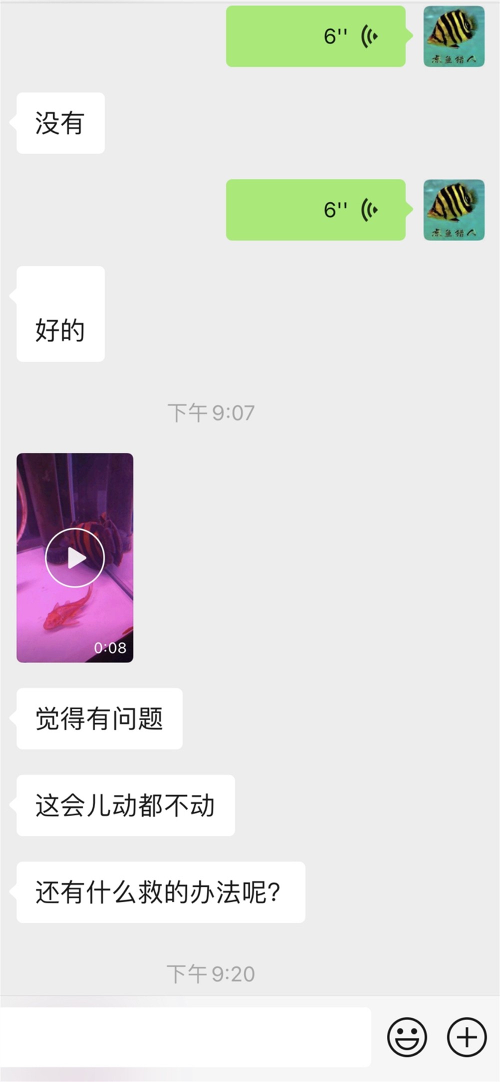 我的頂級虎王以這魚方式告別