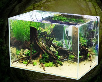 四平市鐵東區博宇水族館（四平市鐵東區博宇水族館電話）