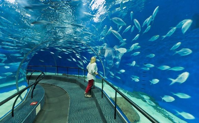上海水族館，上海水族館內特色生物介紹上海水族館內特色生物介紹